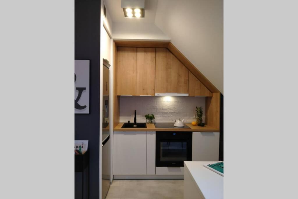 Apartament Na Calych Jeziorach 吉日茨科 外观 照片