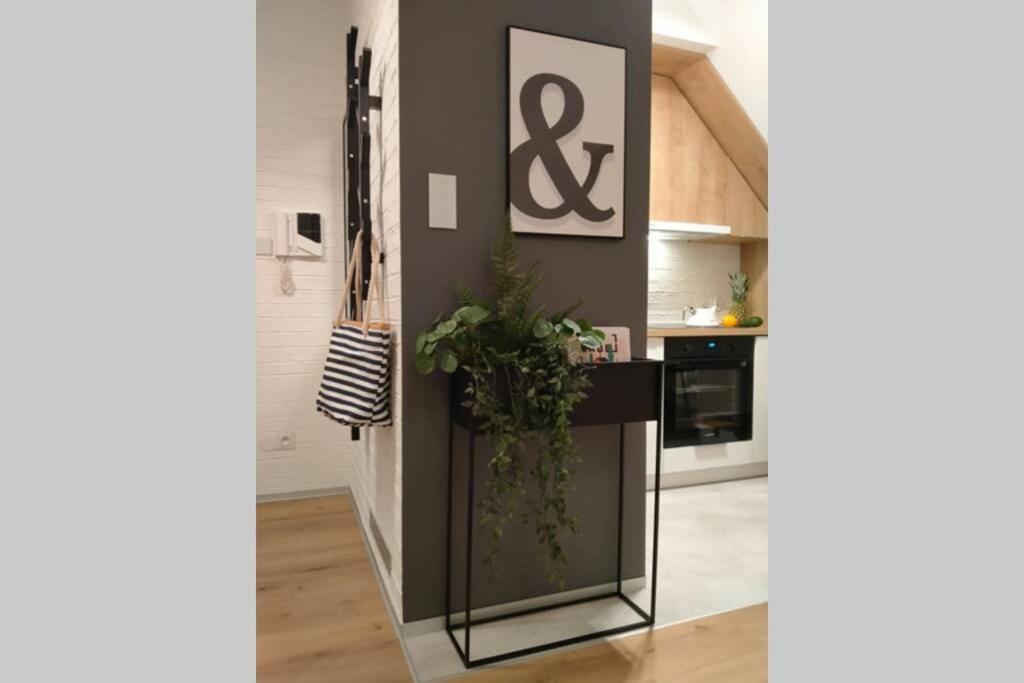 Apartament Na Calych Jeziorach 吉日茨科 外观 照片